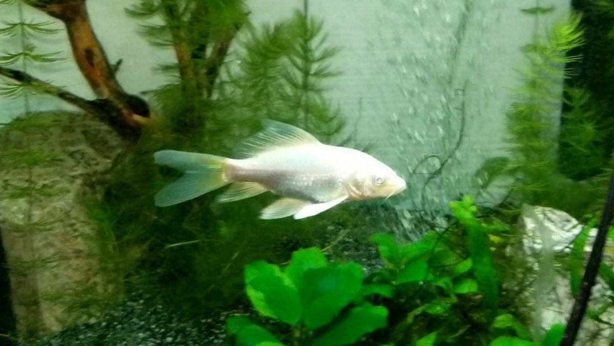 20201007_172345.jpg