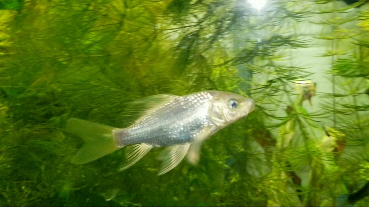 20201007_175004.jpg