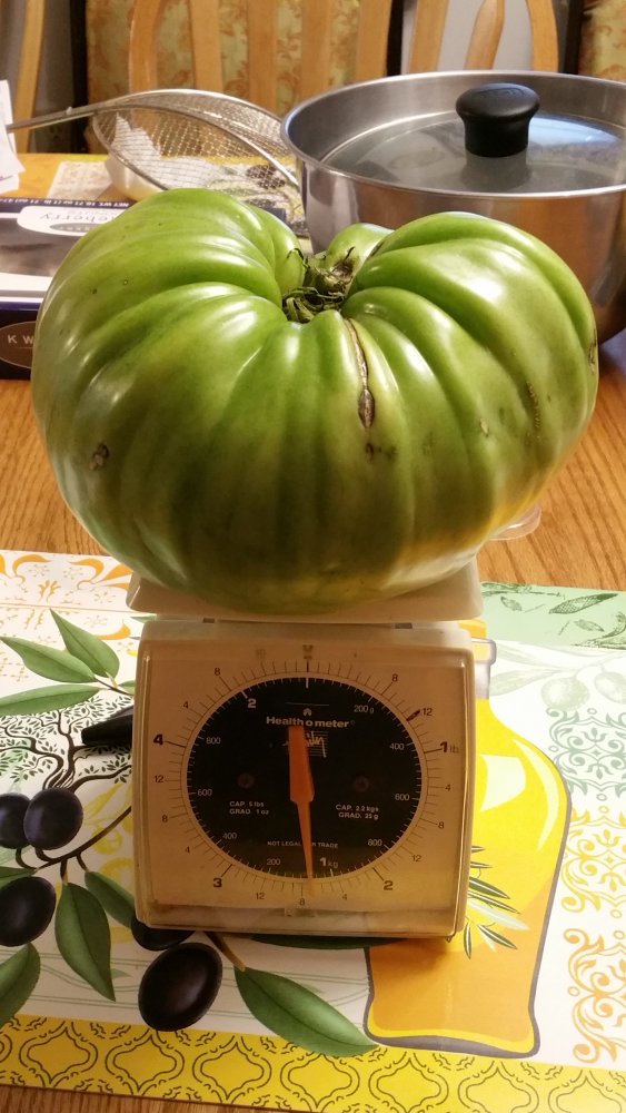20201008_163509.jpg