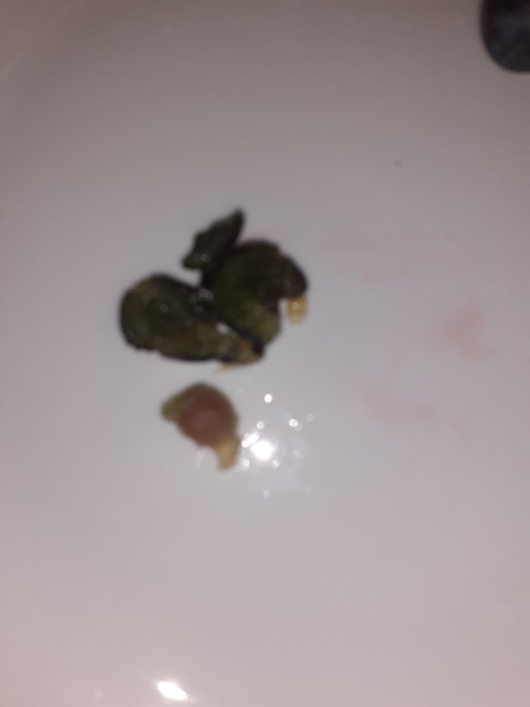 20201012_153132.jpg