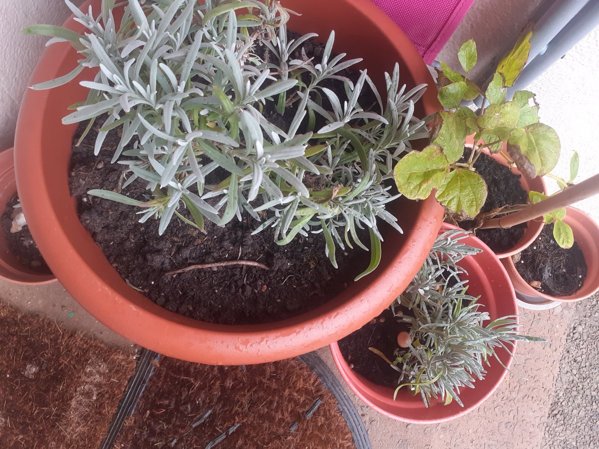 20201114_140744.jpg