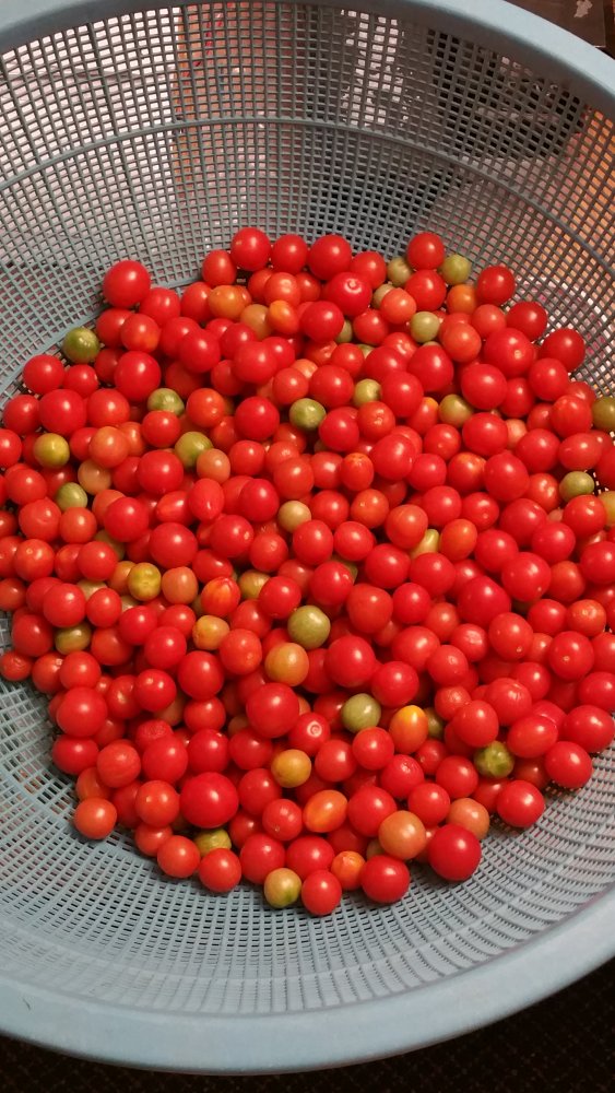 20201115_224918.jpg
