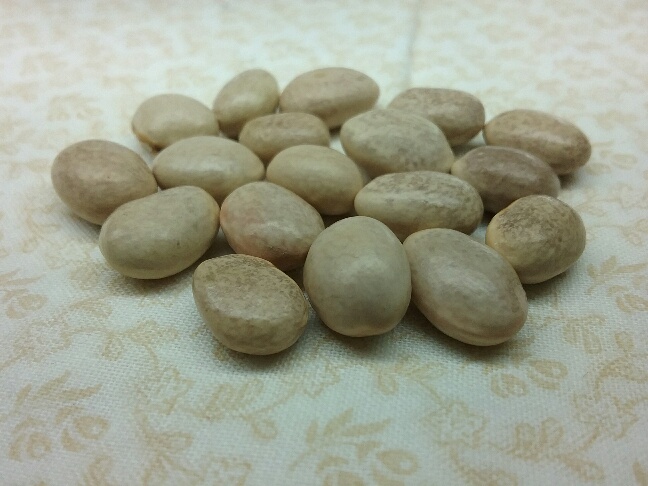 20201118_183650_resized_1.jpg