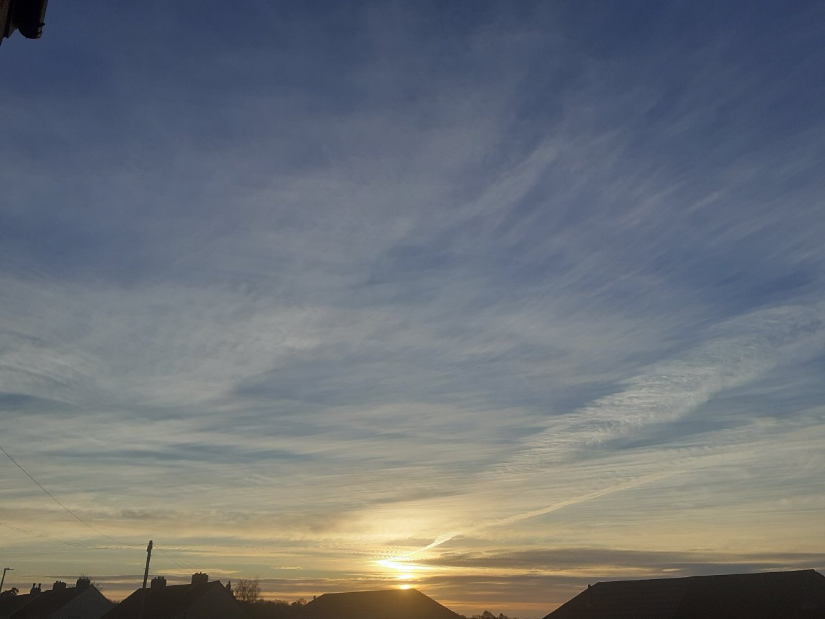 20201201_081731.jpg