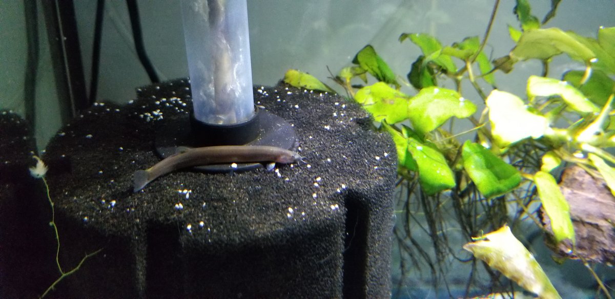 20201206_151735.jpg