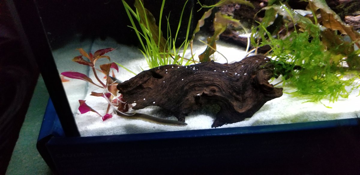 20201206_151742.jpg