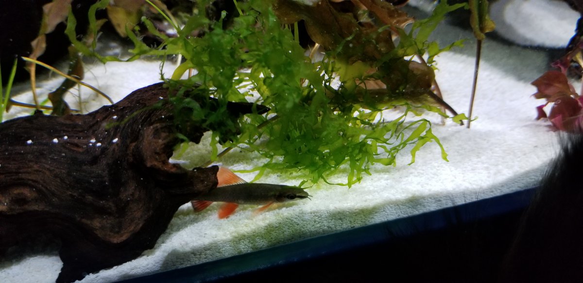 20201206_151756.jpg