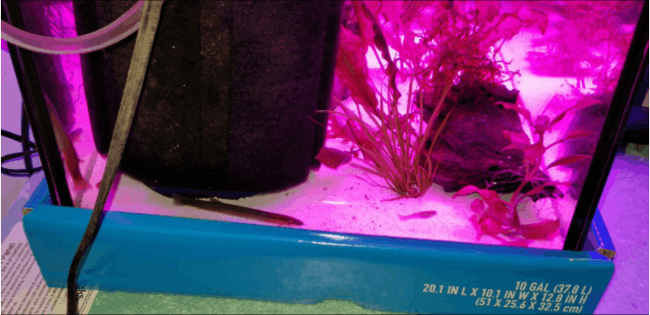 20201218_182402.gif