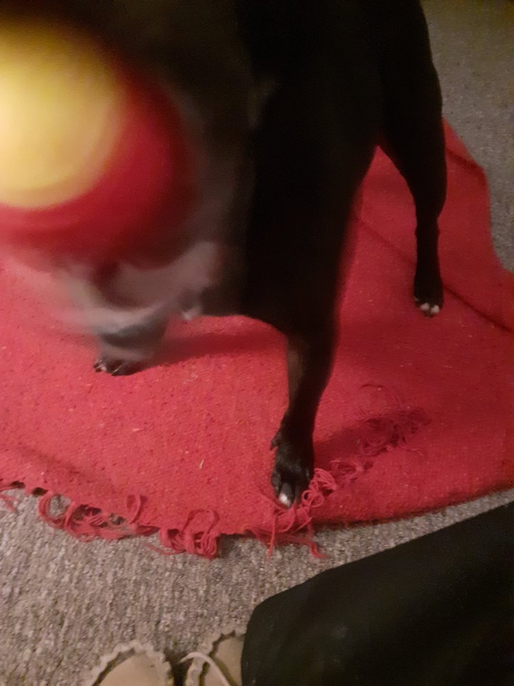 20201227_171641.jpg