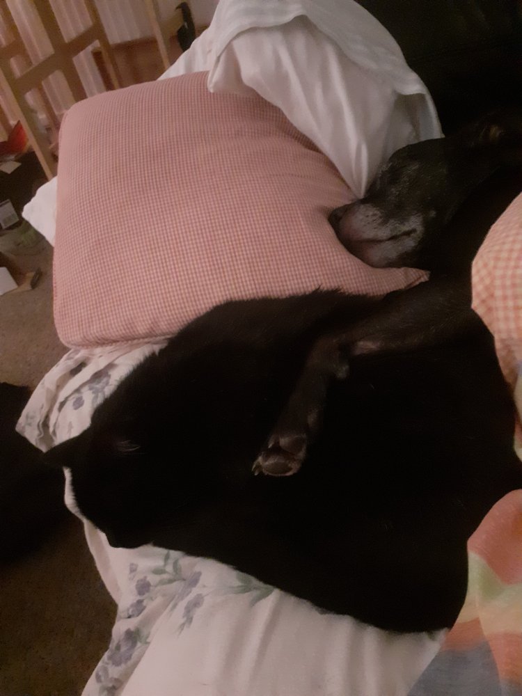 20201231_223125.jpg