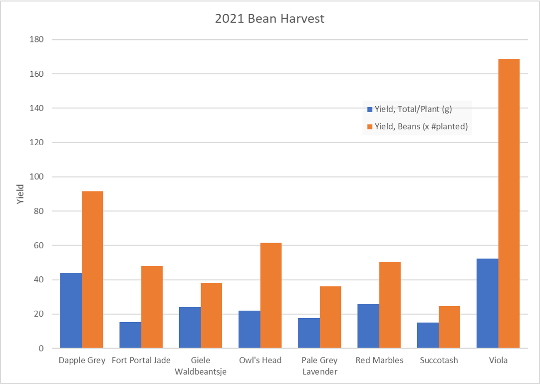 2021 Bean Harvest Chart.png