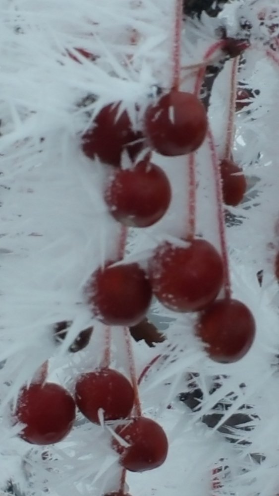 20210106_144403.jpg