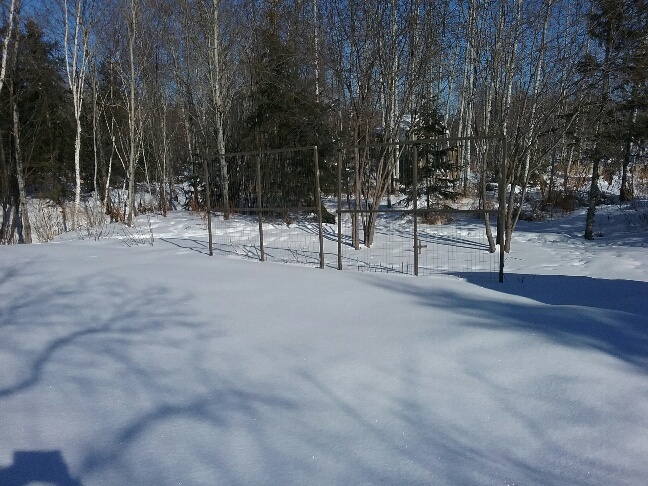 20210128_121956_resized.jpg