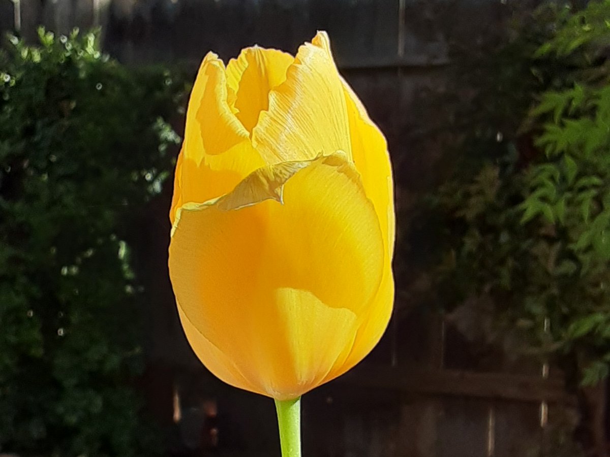 20210414_205242.jpg