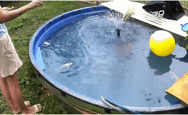 20210604_095453.gif