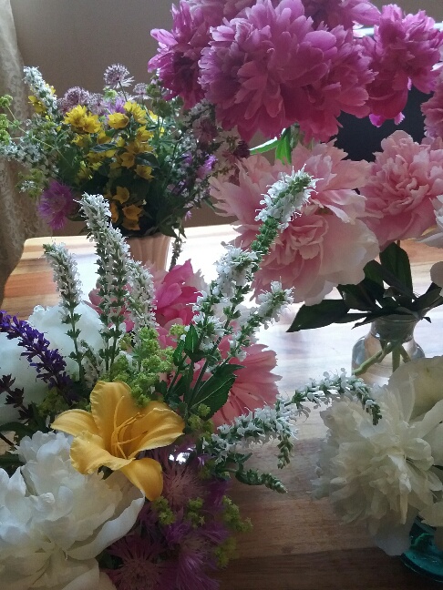 20210622_132310_resized_1.jpg