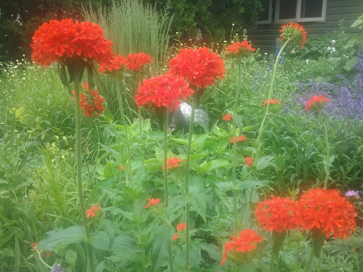 20210628_131630.jpg