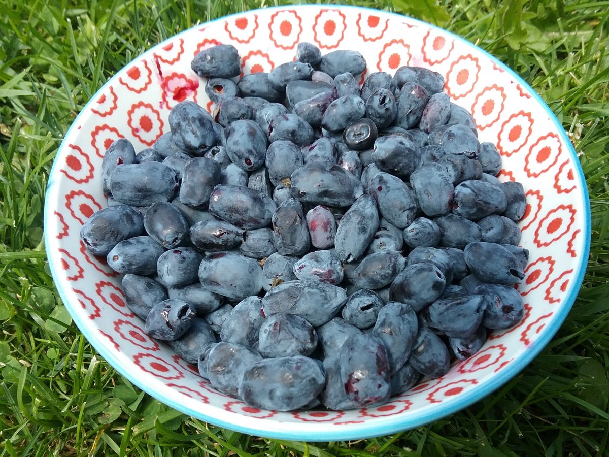 20210709_124103.jpg