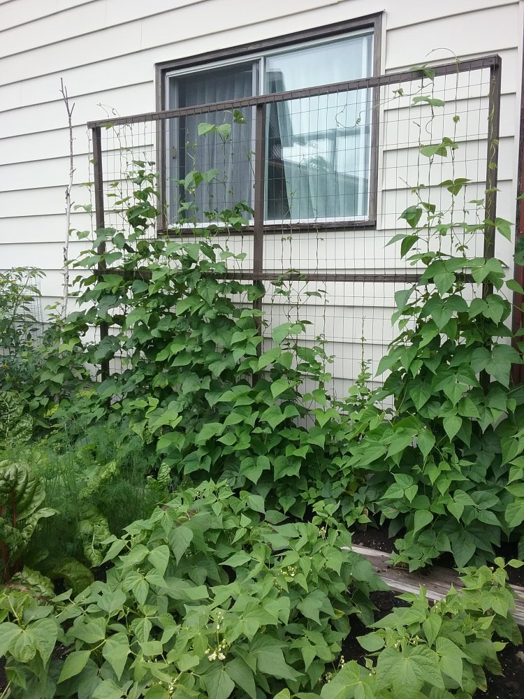 20210715_171851.jpg