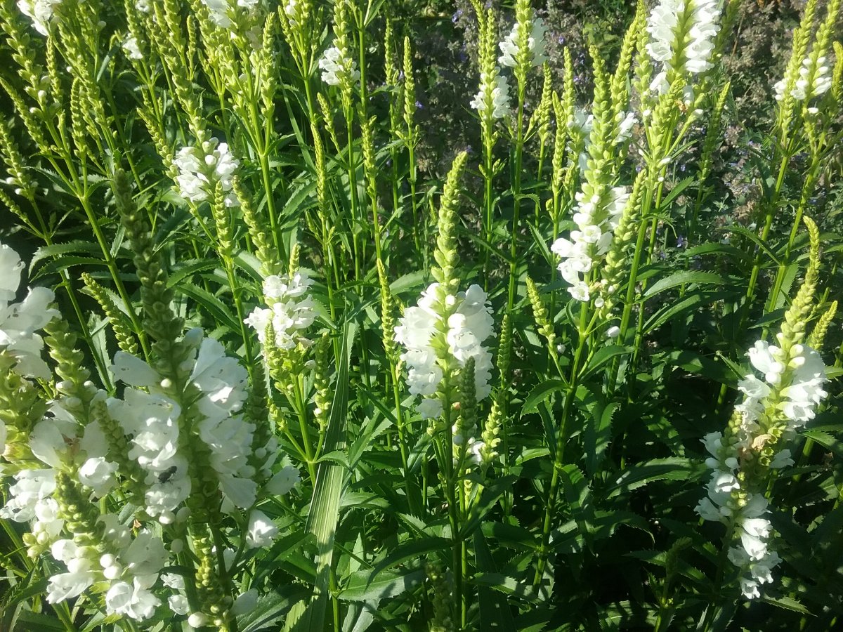 20210723_175859.jpg