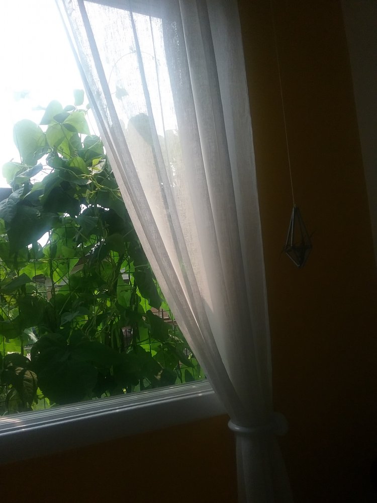 20210805_131715.jpg