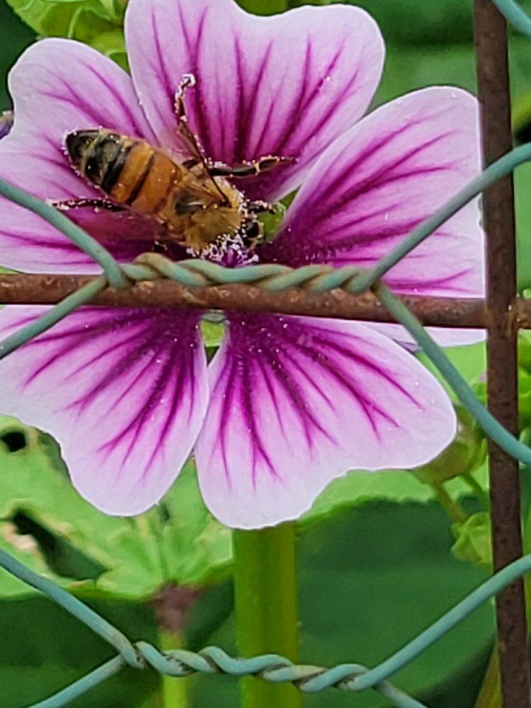 20210806_131441.jpg