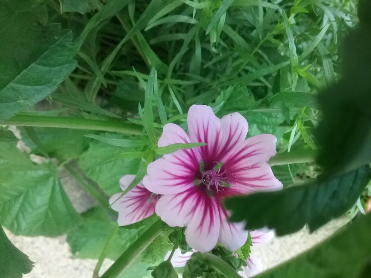 20210813_183841.jpg