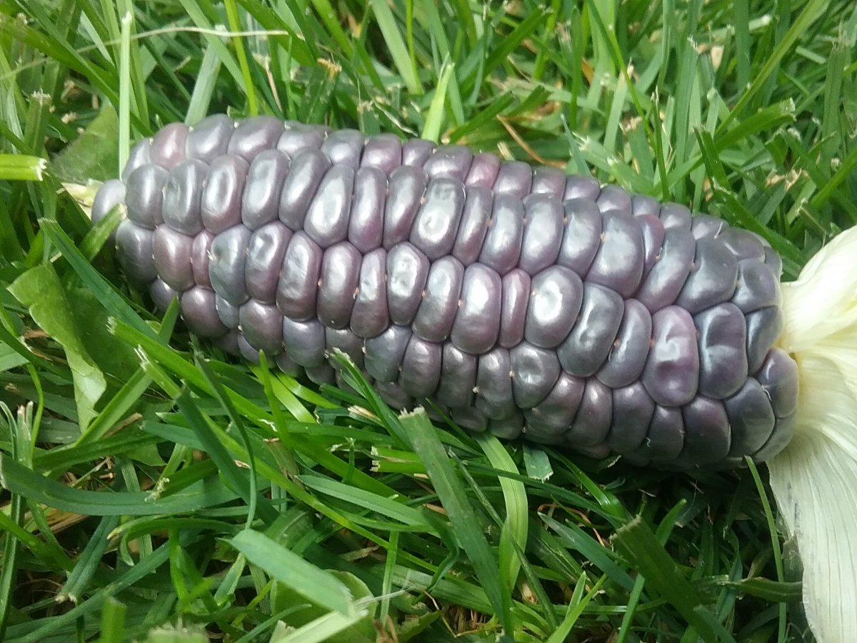 20210814_133912.jpg
