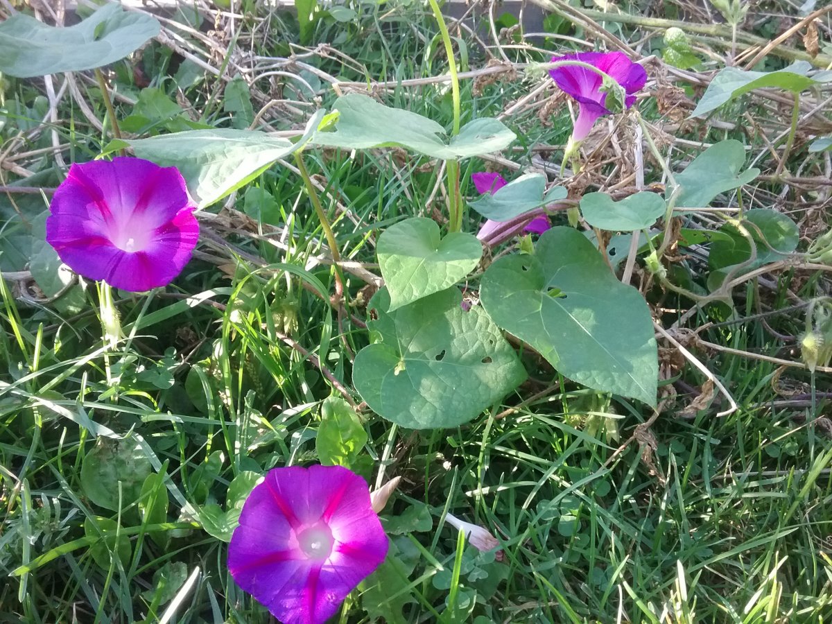 20210901_180402.jpg