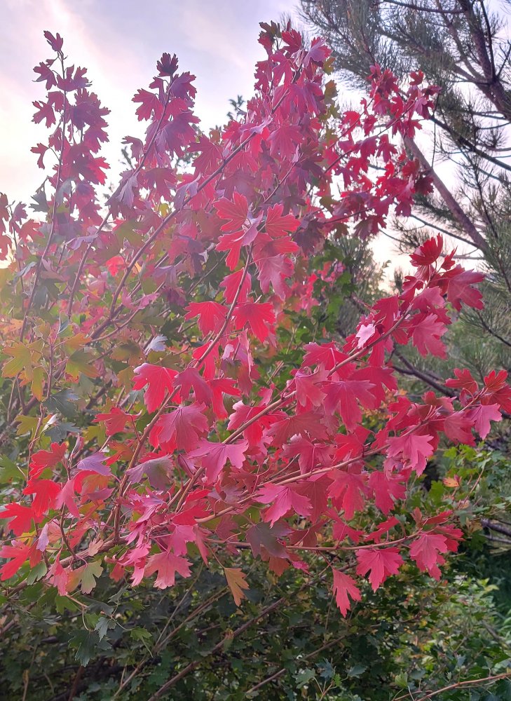 20210910_070018.jpg