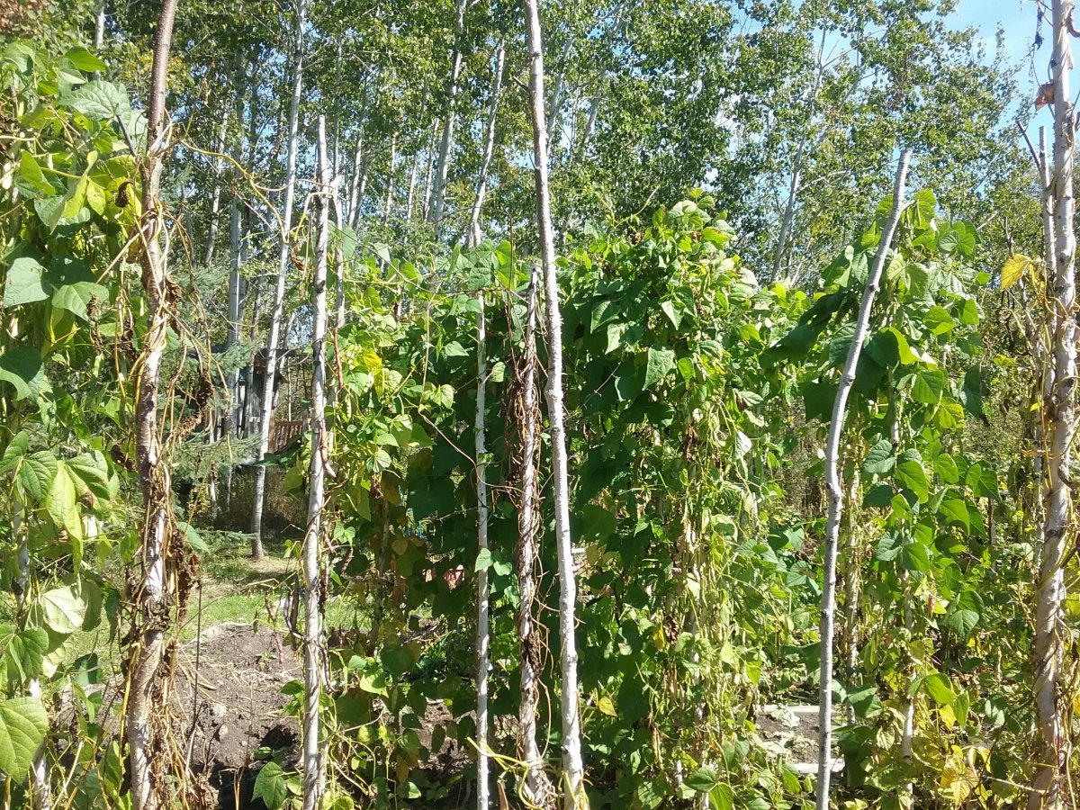 20210917_124027.jpg