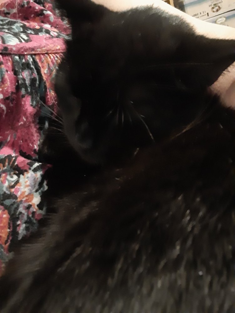 20210920_225826.jpg
