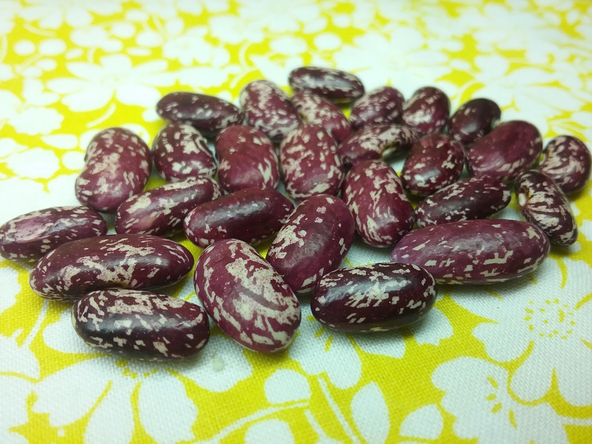 20210925_220617.jpg