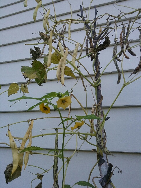 20210927_165927_resized.jpg