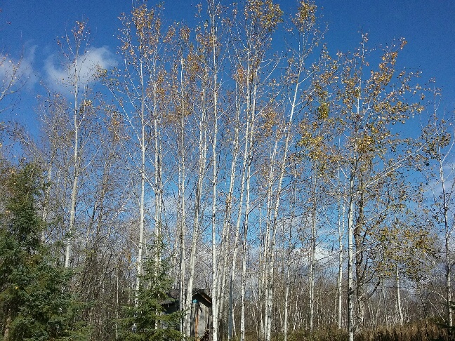 20211017_135227_resized.jpg