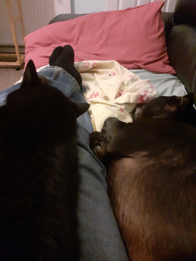 20211102_183532.jpg