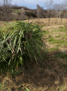 20211120_152548.gif