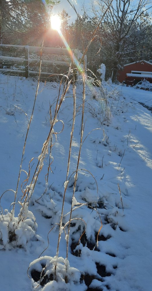 20220103_153809.jpg