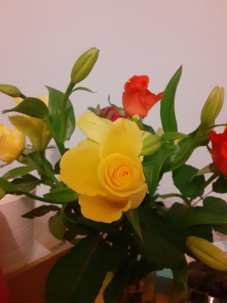 20220119_171850.jpg