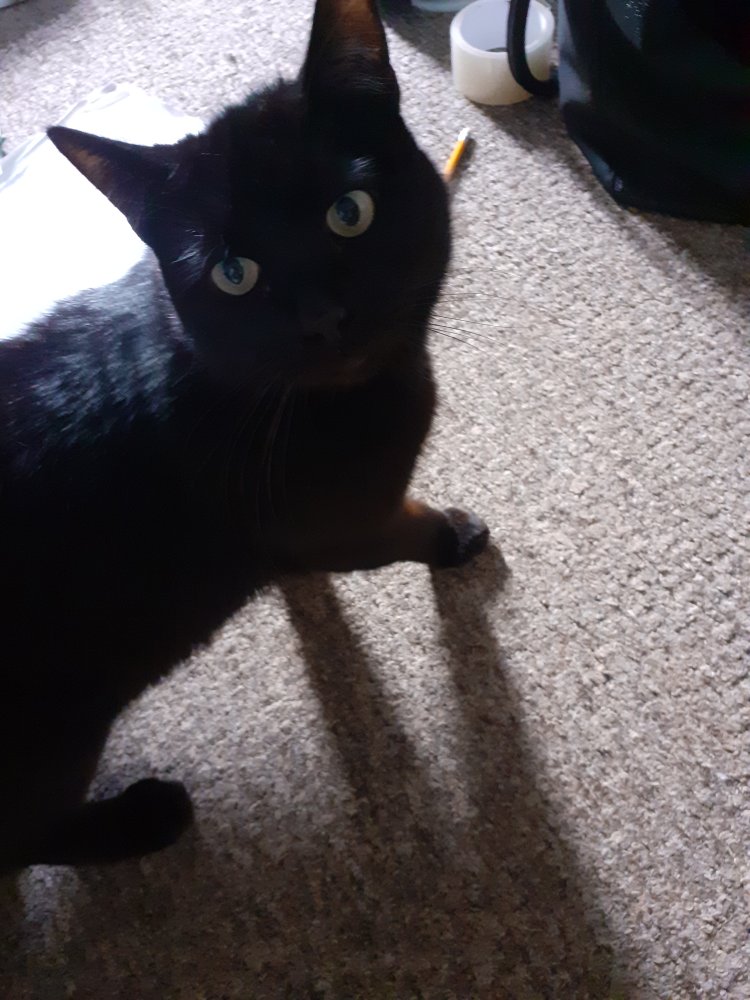 20220120_112442.jpg