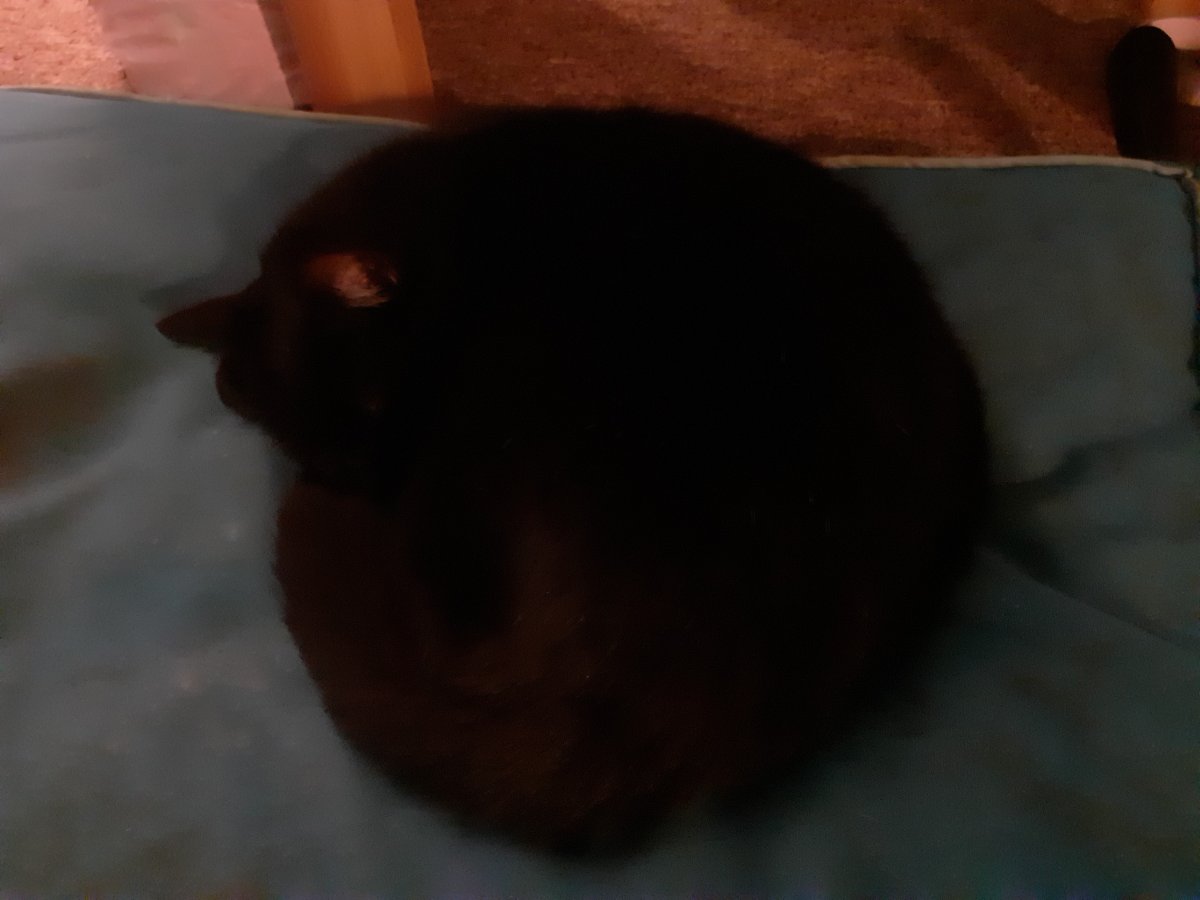 20220120_212306.jpg