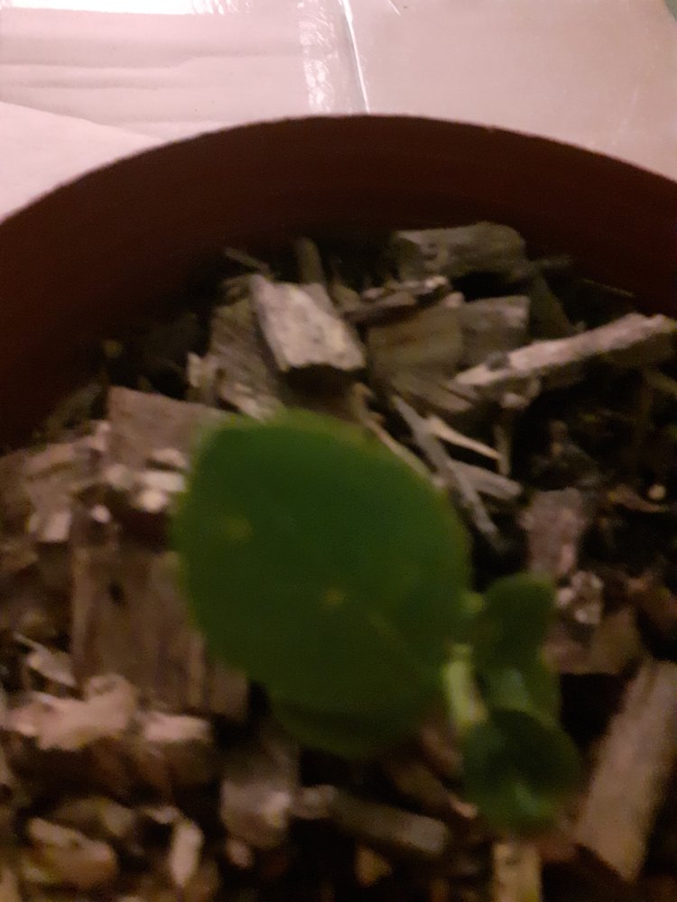 20220120_220530.jpg