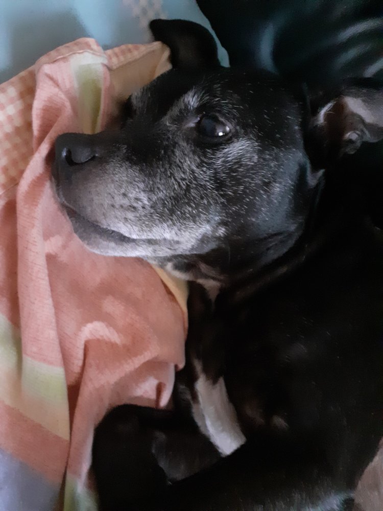 20220124_140219.jpg