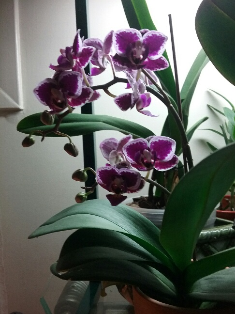 20220131_190748_resized.jpg