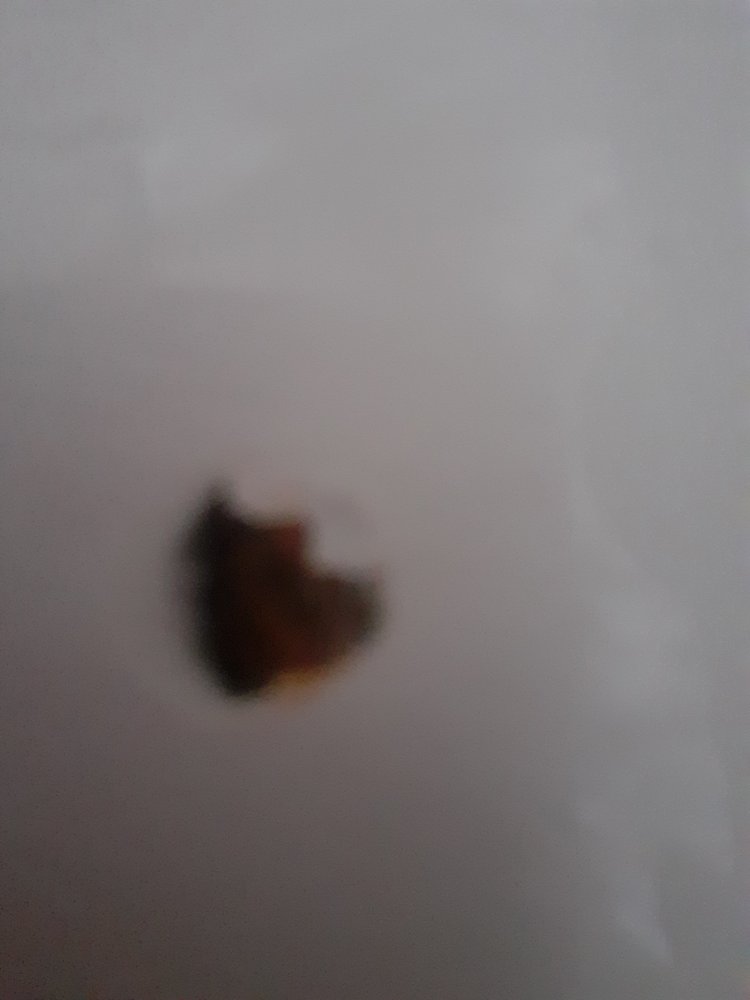 20220219_130125.jpg