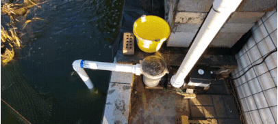 20220227_190747.gif