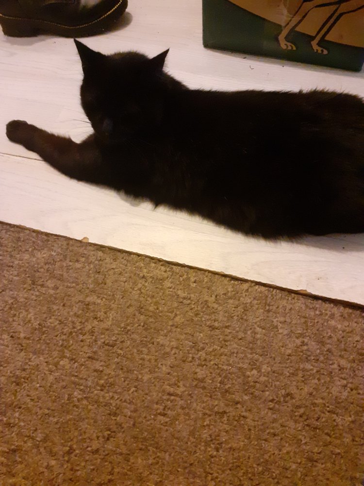 20220311_145301.jpg