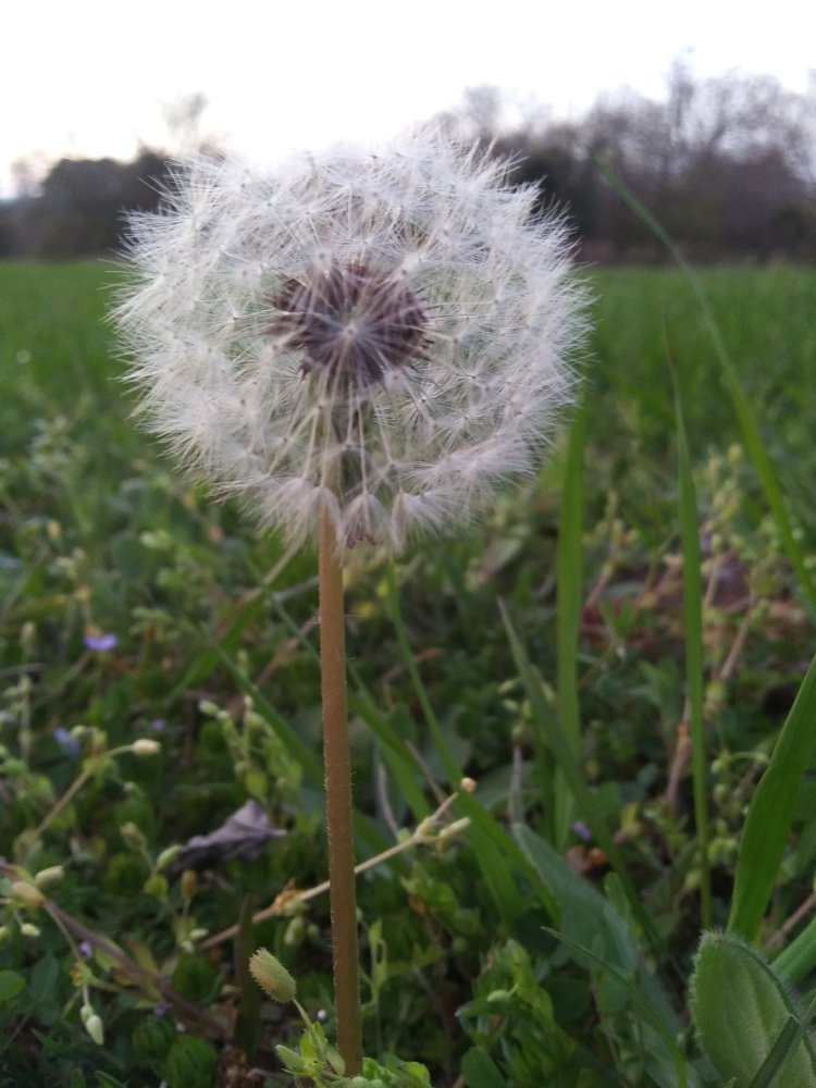 20220402_193751.jpg