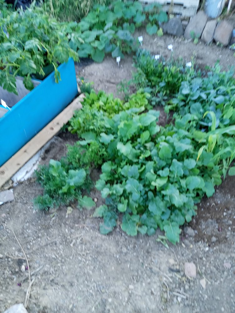 20220514_185638.jpg
