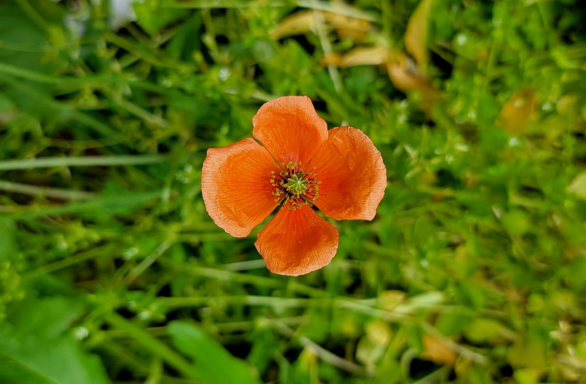 20220515_102939.jpg